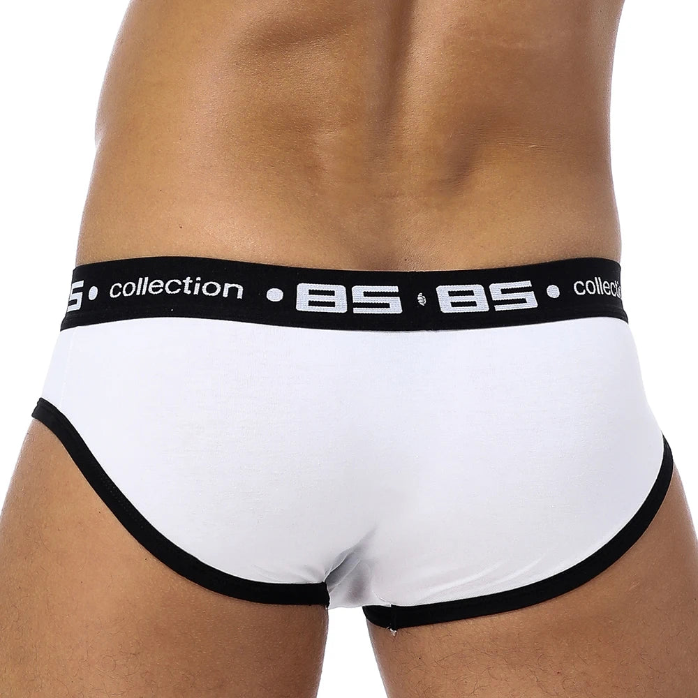 BS Briefs