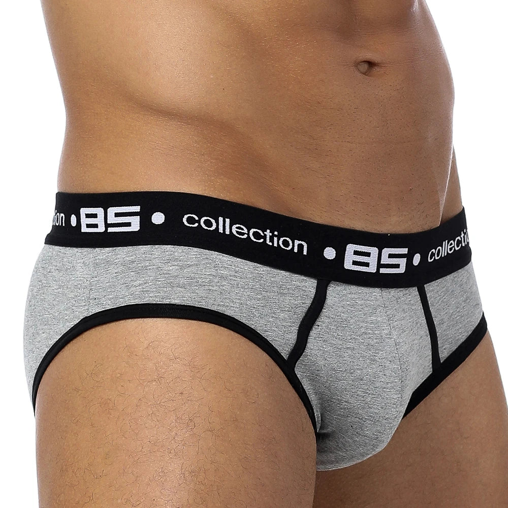 BS Briefs