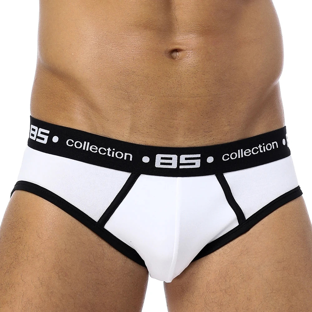 BS Briefs